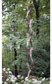 Jacob's Ladder